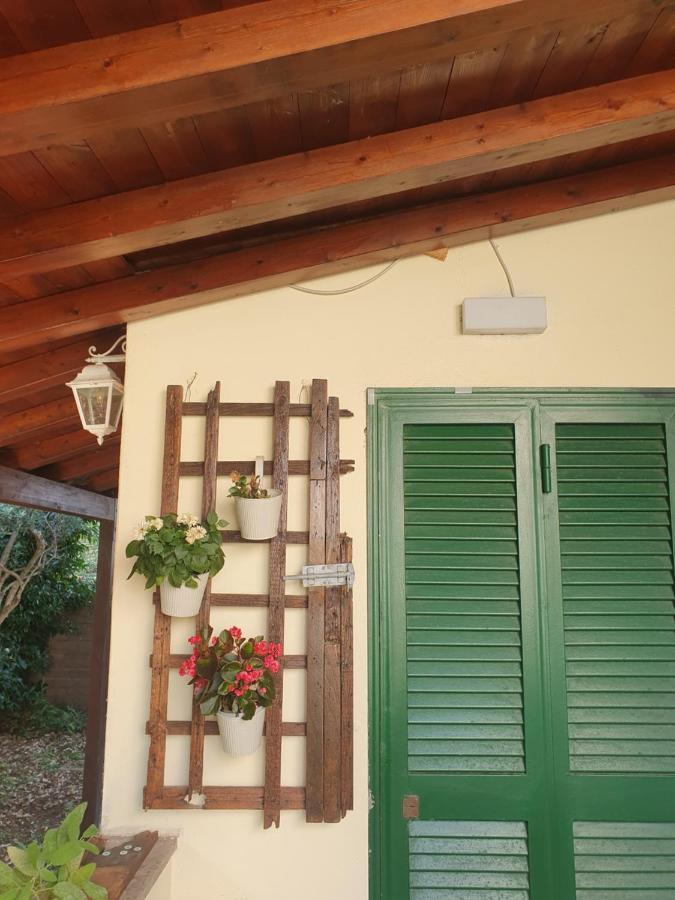 Andrea'S House Villa Fiumicino Dış mekan fotoğraf