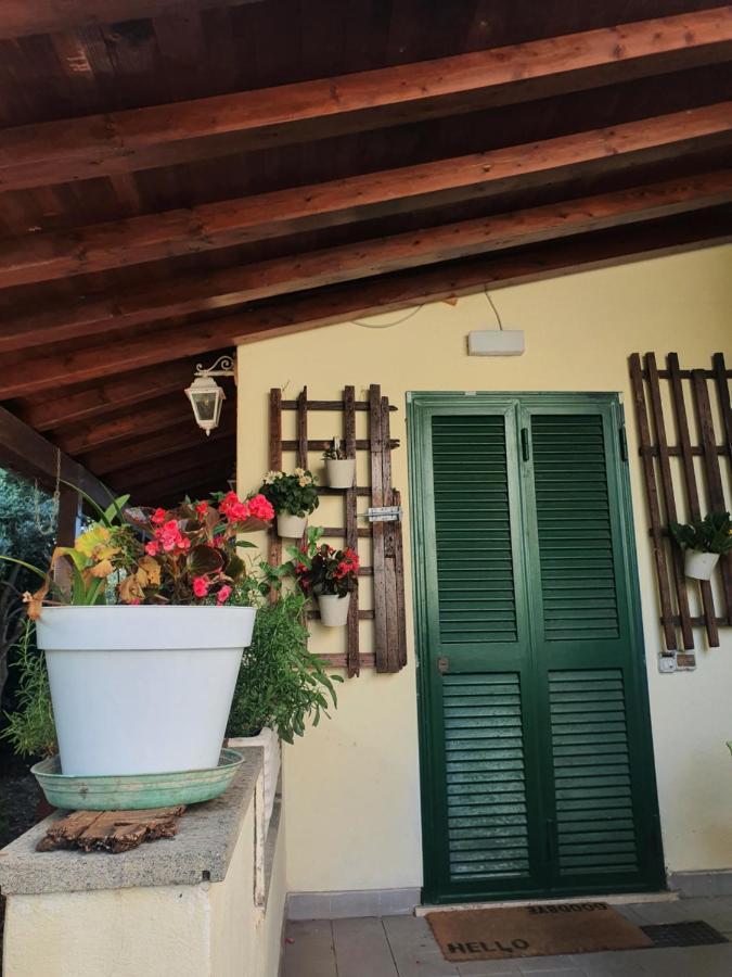 Andrea'S House Villa Fiumicino Dış mekan fotoğraf